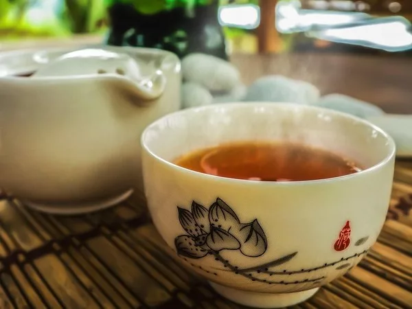 cyclistes profitant de la localisation idéale de l'auberge chez Ma Poule à Moissac